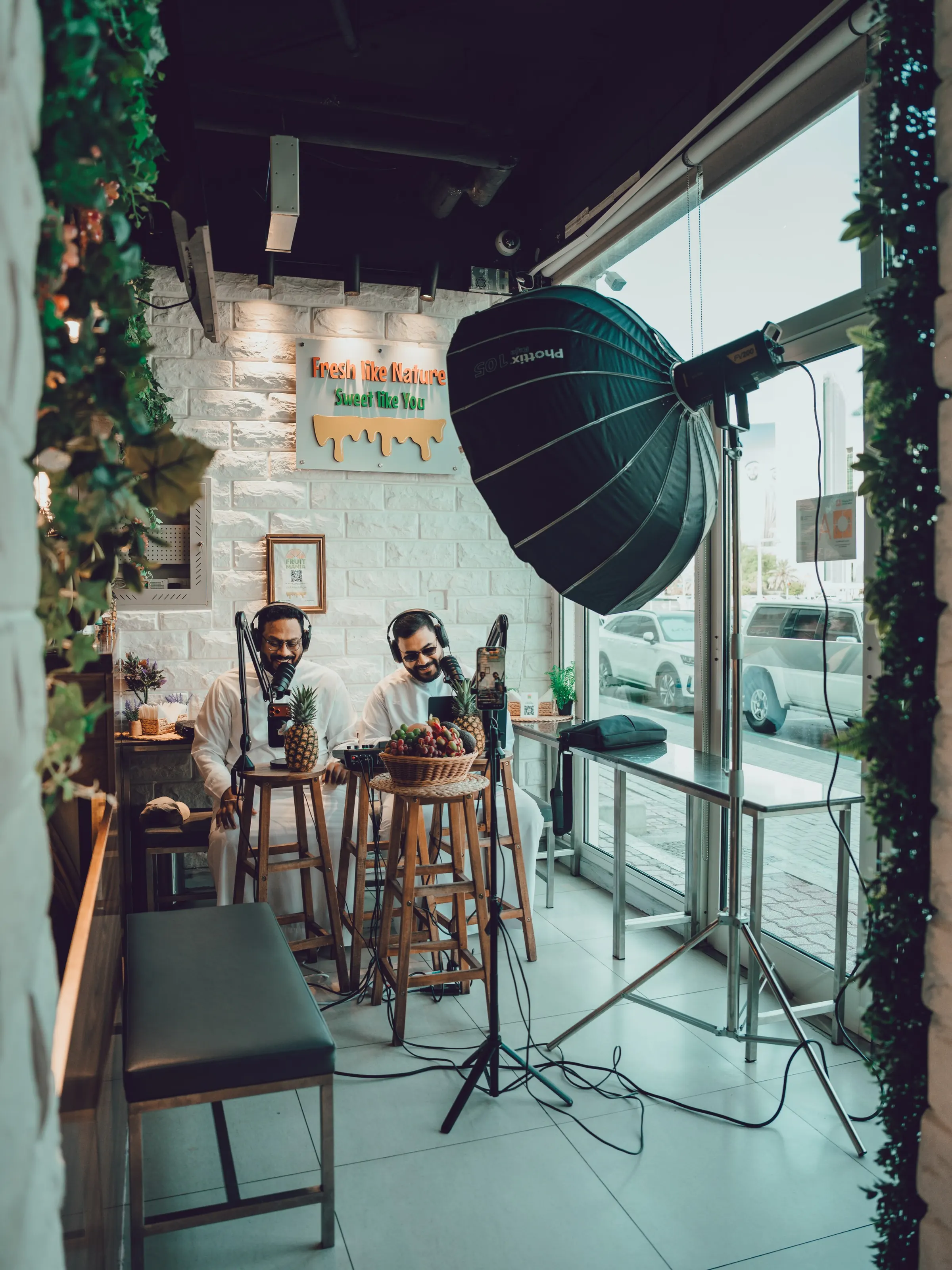 A podcast set being lit: a large softbox on a stand, stools at a counter and hanging plants